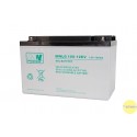 Akumulator MWLG 100-12EV (12V-100Ah, GEL-PVC)