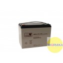 Akumulator MW Power MWL 60-12h